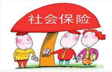 社保代缴