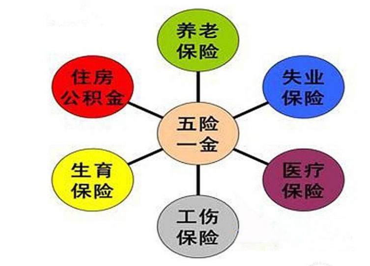 社保代缴