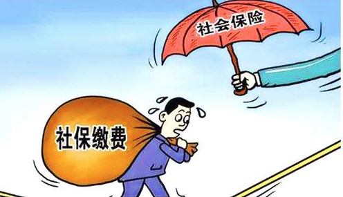 社保缴纳
