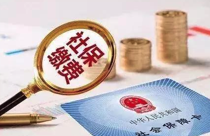 缴纳社保
