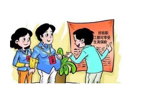 生育险、