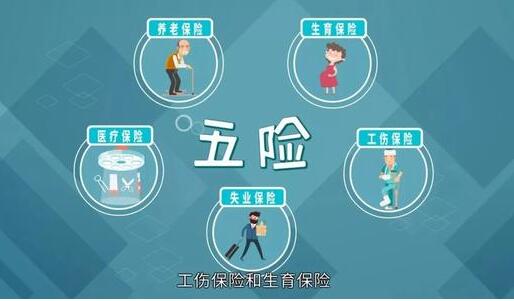 社保代缴